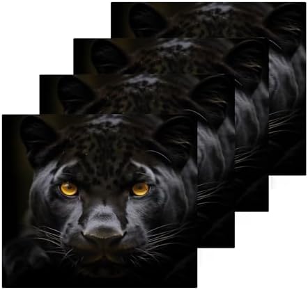 Premium Softness Black Panther Washcloth Set