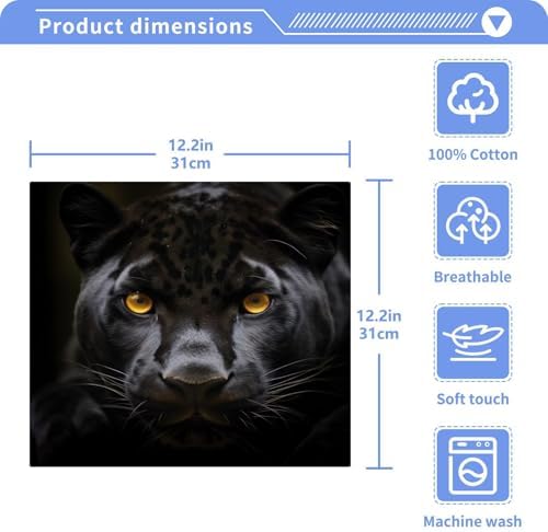 Premium Softness Black Panther Washcloth Set