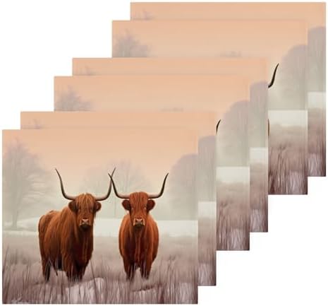 Highland Cow Washcloth 2 Pack Set