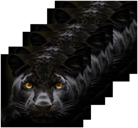 Premium Softness Black Panther Washcloth Set