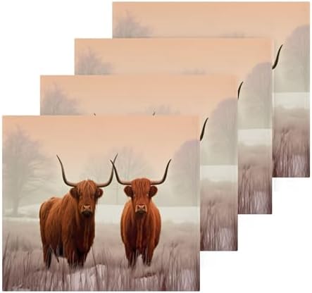 Highland Cow Washcloth 2 Pack Set