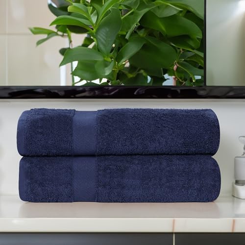 Superior 2-Piece Cotton Bath Sheet Set Blue
