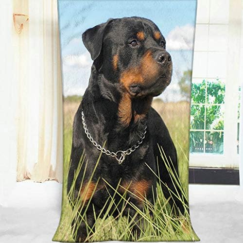 Premium Soft bath towel for Home Beach and Camping - 64x32 inches