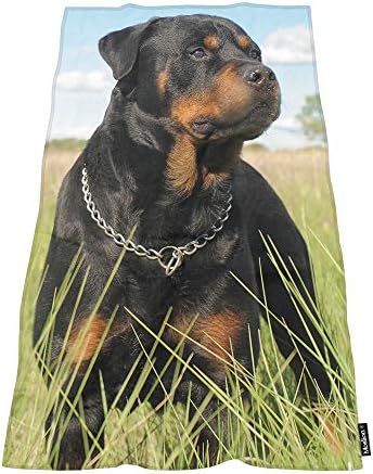 Premium Soft bath towel for Home Beach and Camping - 64x32 inches