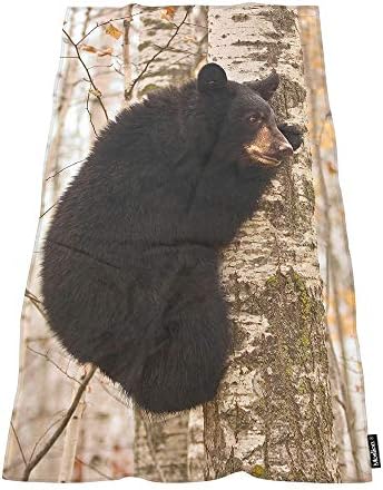 Birch Black Bear Climb Bath Towel